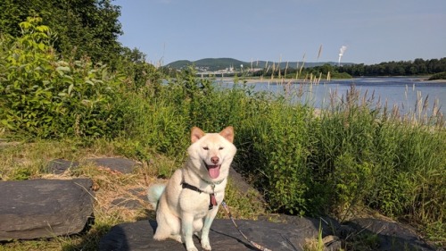 Maine in the foreground, Canada in the background!