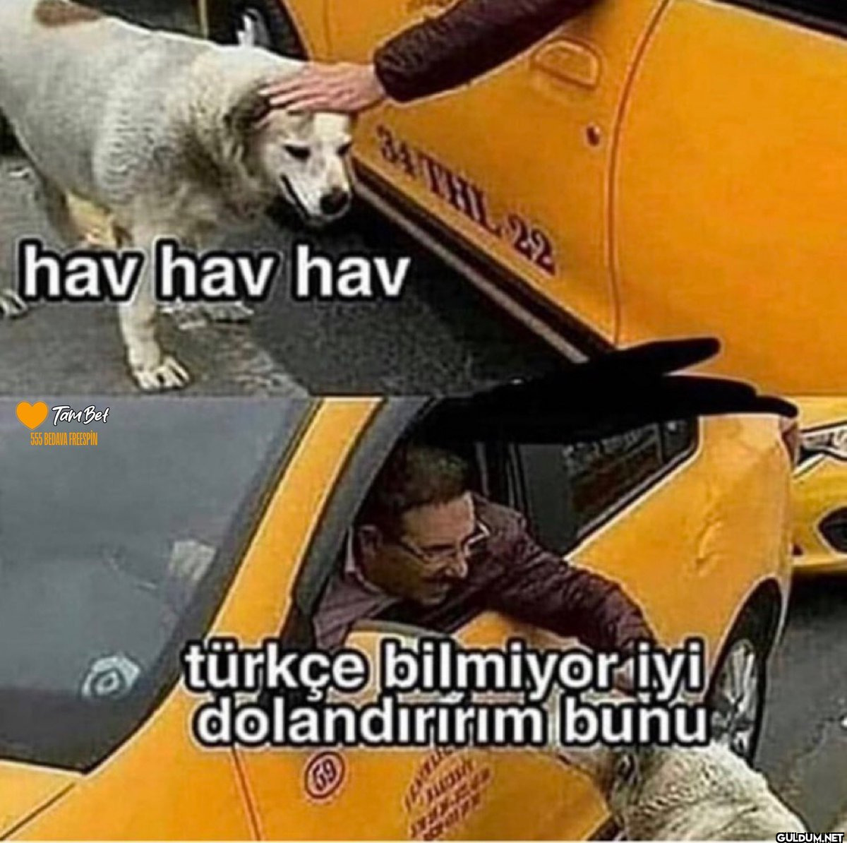 hav hav hav Tam Bet 555...