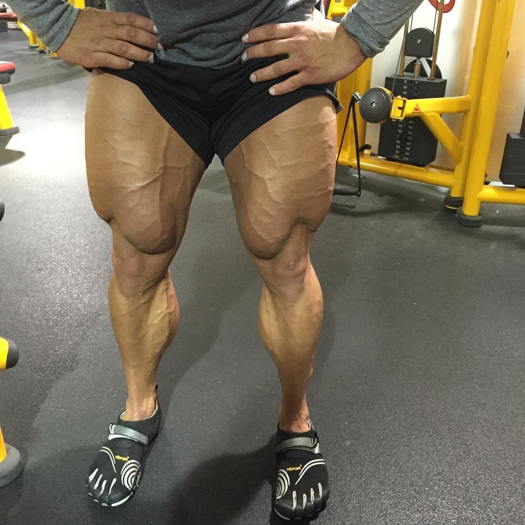 Nick Trigili