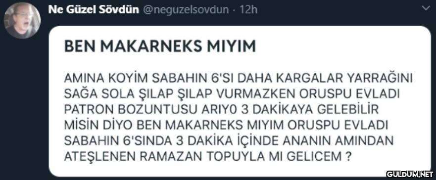 Ne Güzel Sövdün...