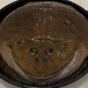 ifroggottoblog - Froggot