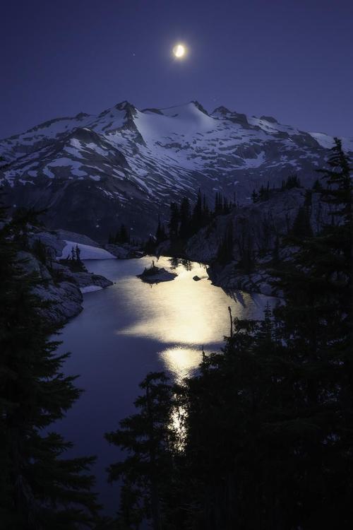 oneshotolive:  Beautiful moonlit night in the Alpine Lakes Wilderness, Washington [OC][800x1200] 📷: takepacific 