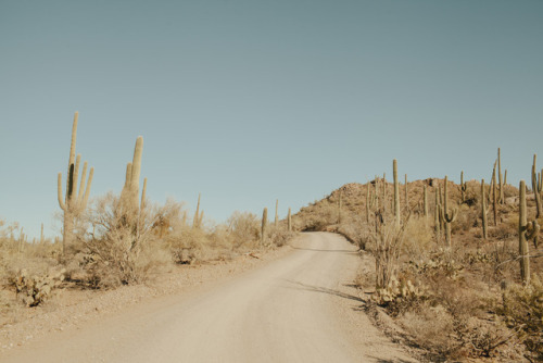 XXX julianajohnsonphoto: Saguaro National Park photo