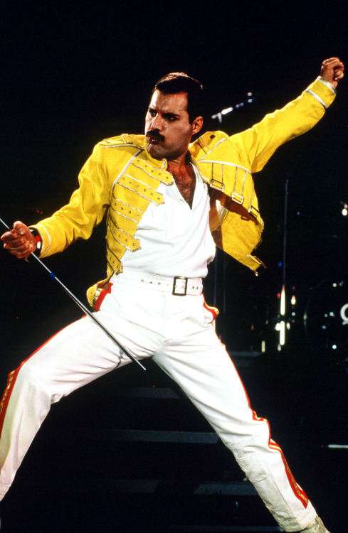 thedevil-inlove:  ♫ Freddie Mercury Outfit Appreciation ♪  Follow @laylamars for similar posts