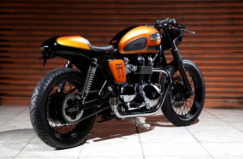 combustible-contraptions:  Triumph | Tango Cafe Racer | Triumph - TMC 