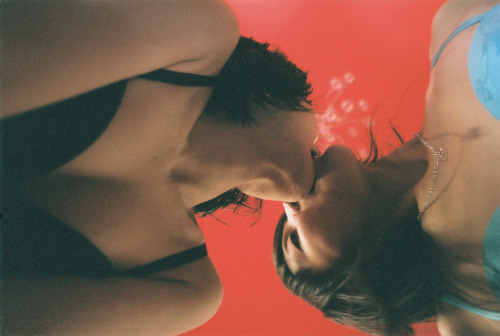 1000scientists:  big bird, 2007 & girl’s kiss, 2007 Lin Zhipeng 