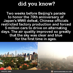 did-you-kno:   Until the day after the parade,