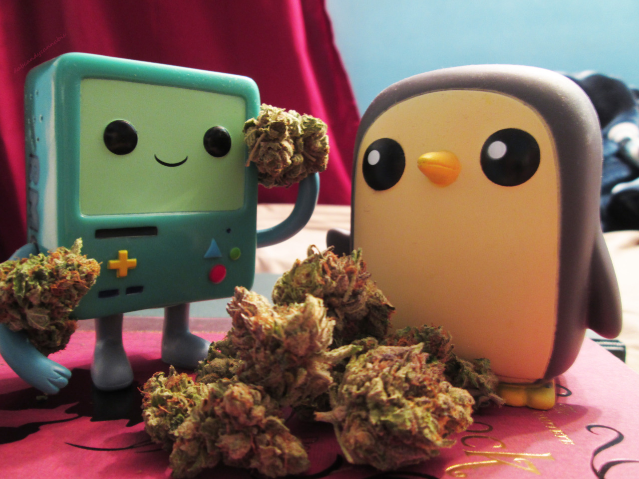 Captain Chronic.