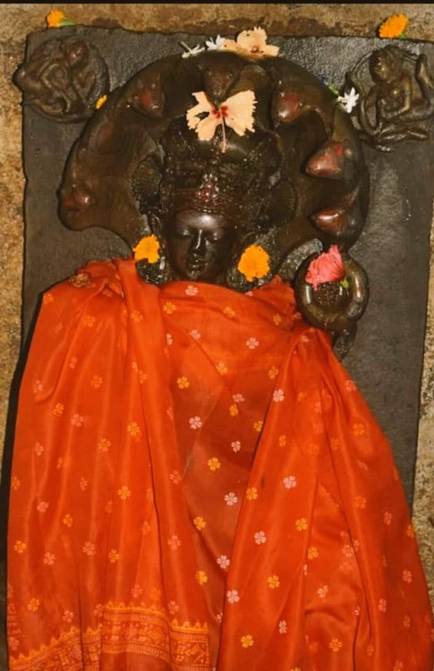 Padmavati (Parvati) temple,Jayadeba Peetha, Prachi Valley, Odisha.