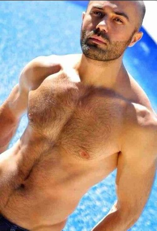 hot4hairy:  H O T 4 H A I R Y  Tumblr | Tumblr Ask | Twitter Email | Archive  | Follow Leave Voicemail:1-206-278-5729 (206-A-SUK-RAW)HAIR HAIR EVERYWHERE! 