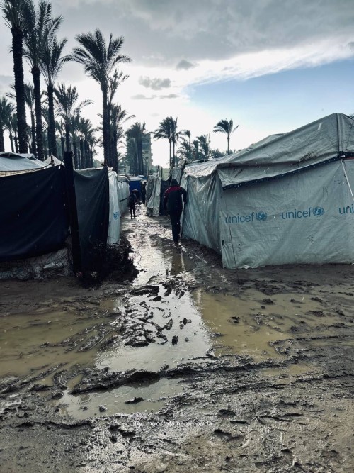 Gaza Under The Storm: Over 450 Days Of Pain