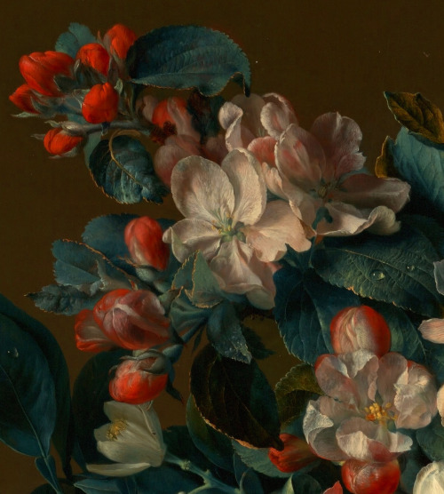 inividia:Vase of Flowers (details), 1722. Jan van Huysum