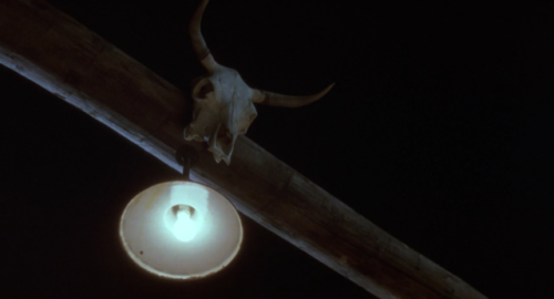 addictofcinema: Mulholland Drive DP: Peter Deming