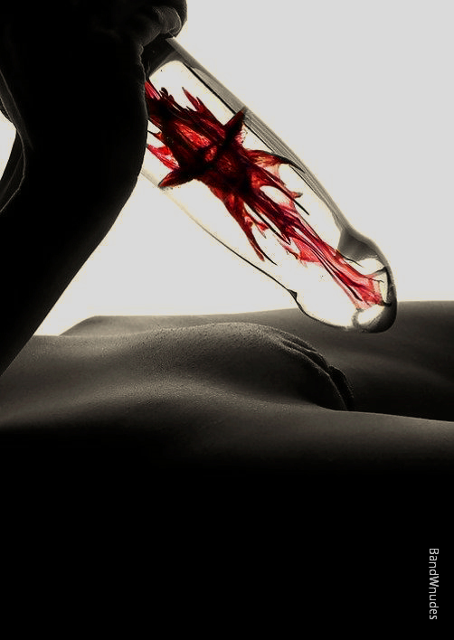 bandwnudes: Current Theme:  “30 Days Of Color”  Search B&amp;W Erotica by
