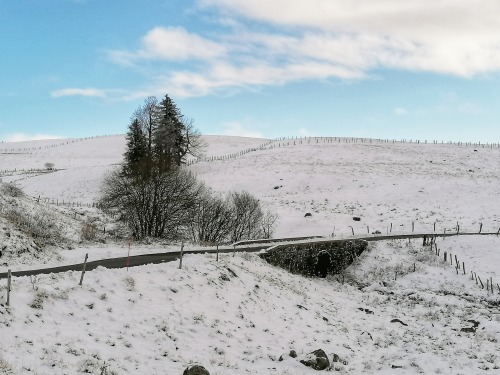 Some photos from my afternoon walks this week. Not a single noise, and the air smelled so crisp.