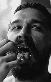 feuilledecarotte:  Shia Labeouf 200x320 by FeuilleDeCarotte