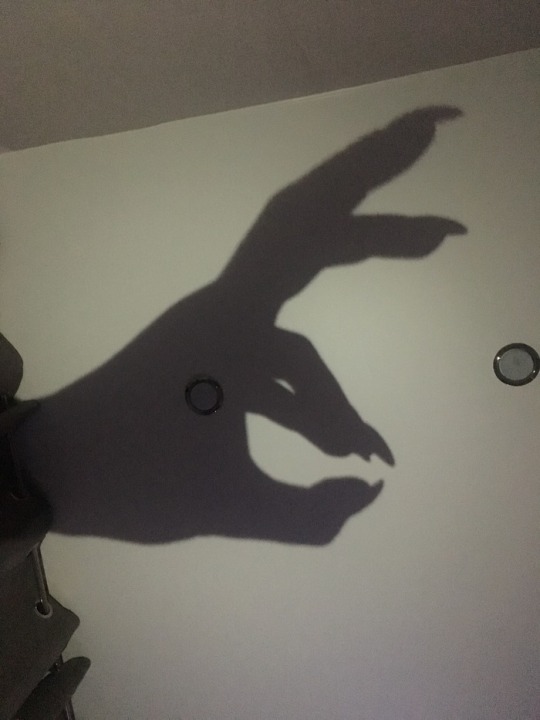 “My wife’s version of shadow puppets before bed is slightly frightening. Good night.”
