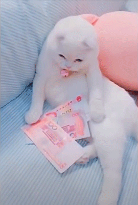 一生一世