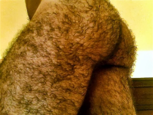 hairy [allover & Xtrem]