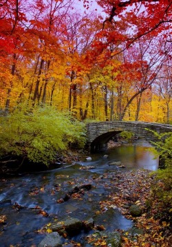 bluepueblo:  Autumn, Corvallis, Oregon photo