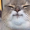 theboywhosparkedthesun:  buttsdotcom:  I need to lose 30 pounds in today   