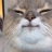 theboywhosparkedthesun:  buttsdotcom:  I need to lose 30 pounds in today   