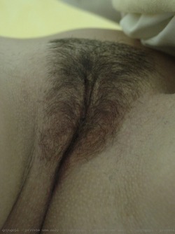 beautifulpubestolick:  More Natural Hairy Pussies