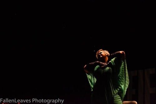 Photos from Fierce Queer International Burlesque Festival by Fallen Leaves Photography