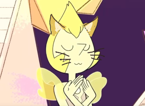 Our Yellow Cat Diamond and her Yellow Cat Pearl