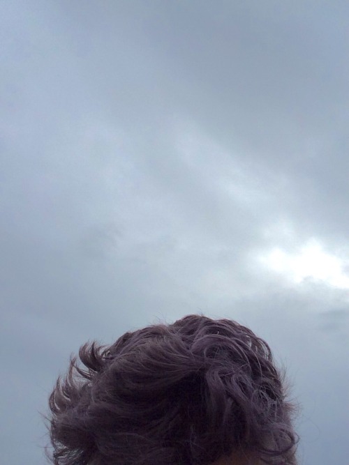 sapphicscience:gray skies, purple hair