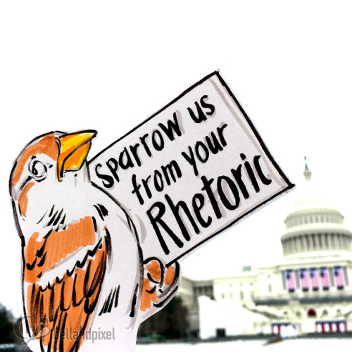 My miniature birb marchers from the Women’s March on Washington DC. Bird made with bristol board, in