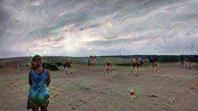 preludecat72:  For sixpenceee ’s deep dream post. Originally, this was a photo