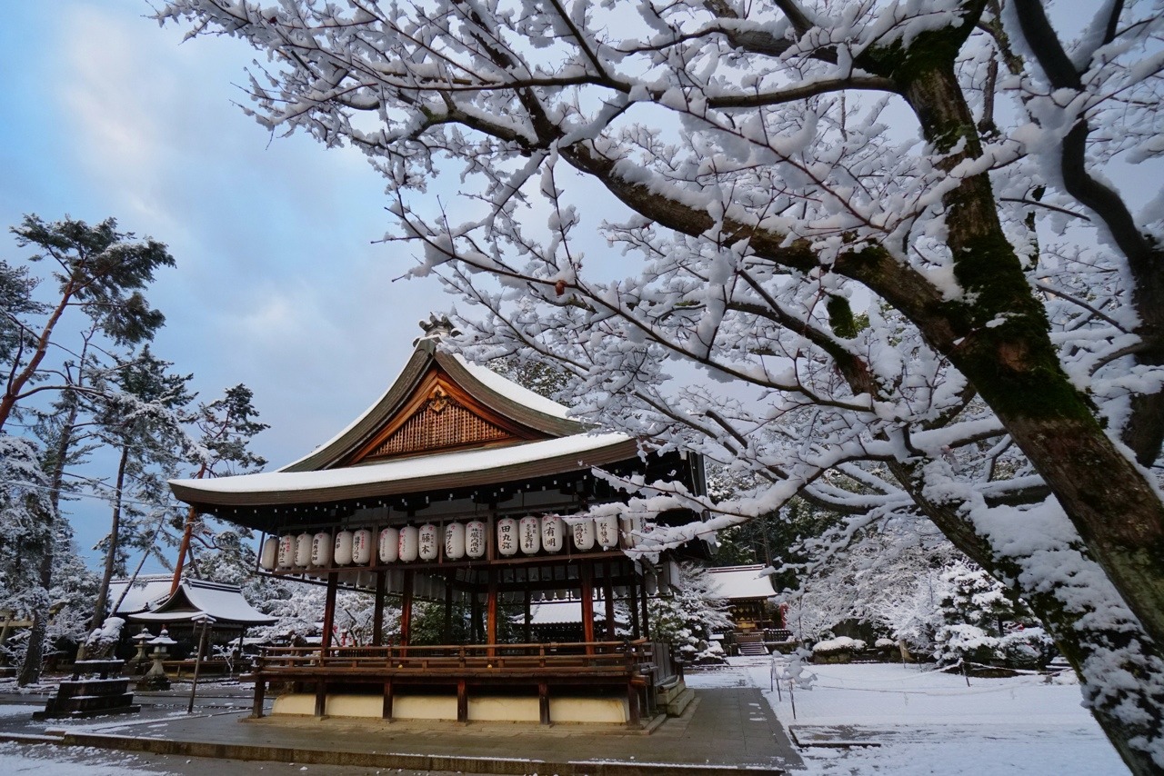 chitaka45:  京都 今宮神社 ❄️雪景色❄️2019.1.27 kyoto imamiyajinja