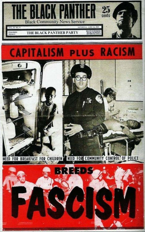 &ldquo;Capitalism Plus Racism Breeds Fascism&rdquo; (Black Panther newspaper, 1969)