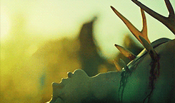 bluevein:  So killing somebody, even if you have to do it… feels that bad? It’s th
