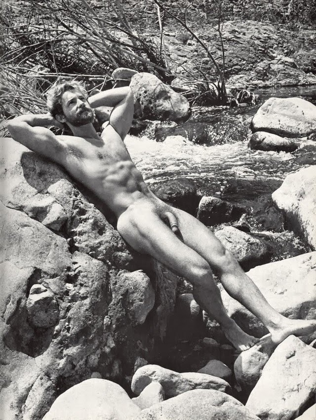Hairy Chested Blonds 3