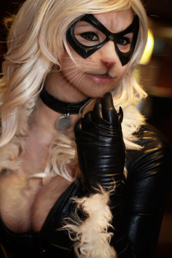 animaltfs:  Black Cat by OdysseusUT