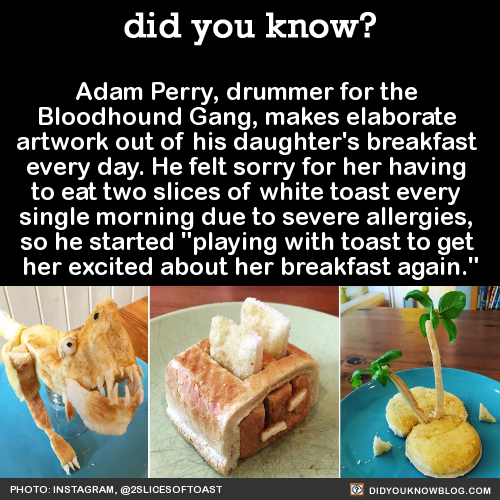 did-you-kno:  Adam Perry, drummer for the  Bloodhound Gang, makes elaborate  artwork out of his daughter’s breakfast  every day. He felt sorry for her having  to eat two slices of white toast every  single morning due to severe allergies,  so he started