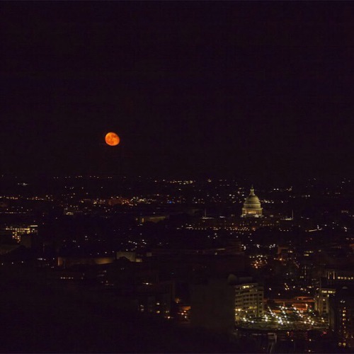 ourafrica:  Lunar Eclipse. Washington, D.C.