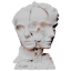 scattcrbrain