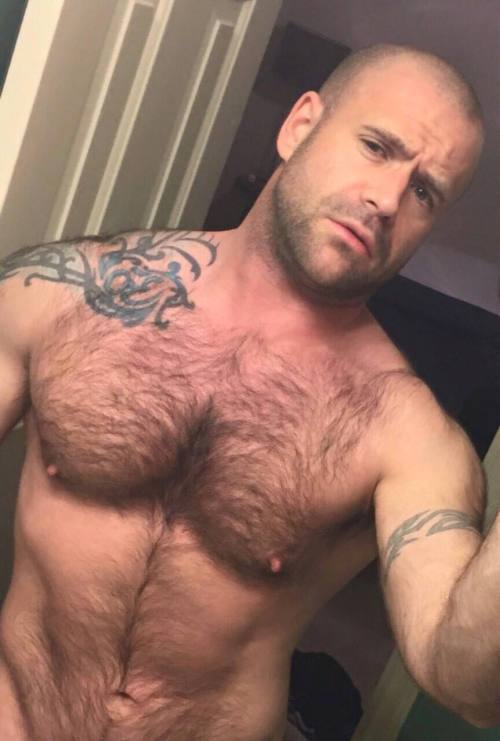 cuddlyuk-gay: I generally reblog pics of guys with varying degrees of hair, if you want to check out