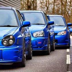 scoobiesandboobies:  rugessubaru:3 of a kind bugeye, blobeye, hawkeye