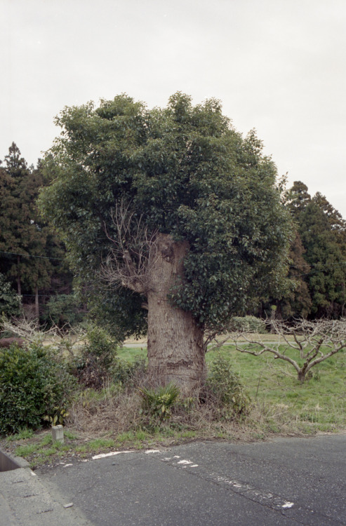 ryosuke-takamura:Mikuni, Fukui, Mar 2020