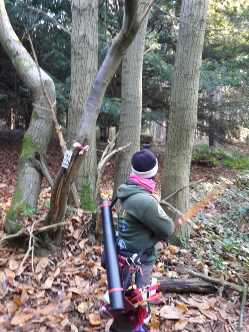 Some photos from spirit of sherwood nfas wooden arrow Christmas shoot. Great day with another great course and cracking group. Thanks