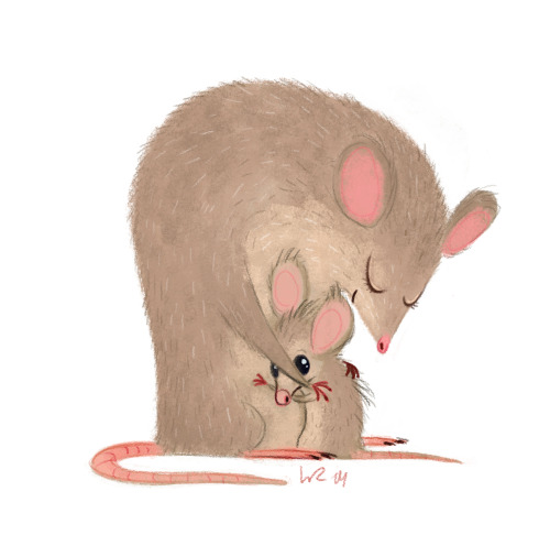 wiebkerauers:  short sketch today 