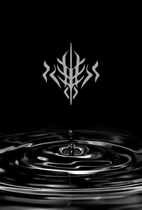 As to the other orders that were inferior in this visiting of the far realm of spren, the Elsecaller