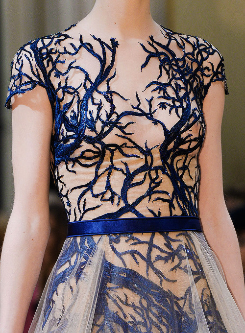 :  Zuhair Murad Fall-Winter 2013 