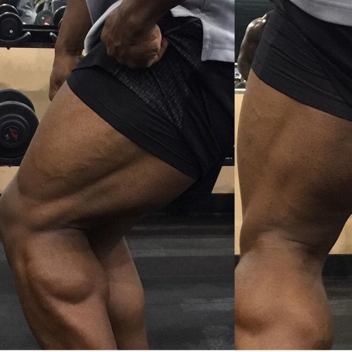 FOR THE LOVE OF MUSCLE