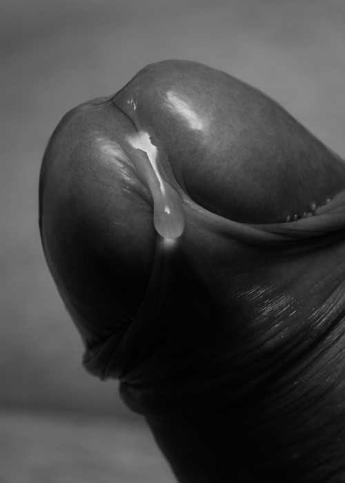 thongblog: i dont like sperm, bul i liked pre-cum.