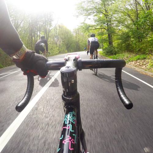 eastlondonfixed:  Taking #TNT to #NYC at prospect Park #eastlondonfixed #ELFraceteam #adventuresofel